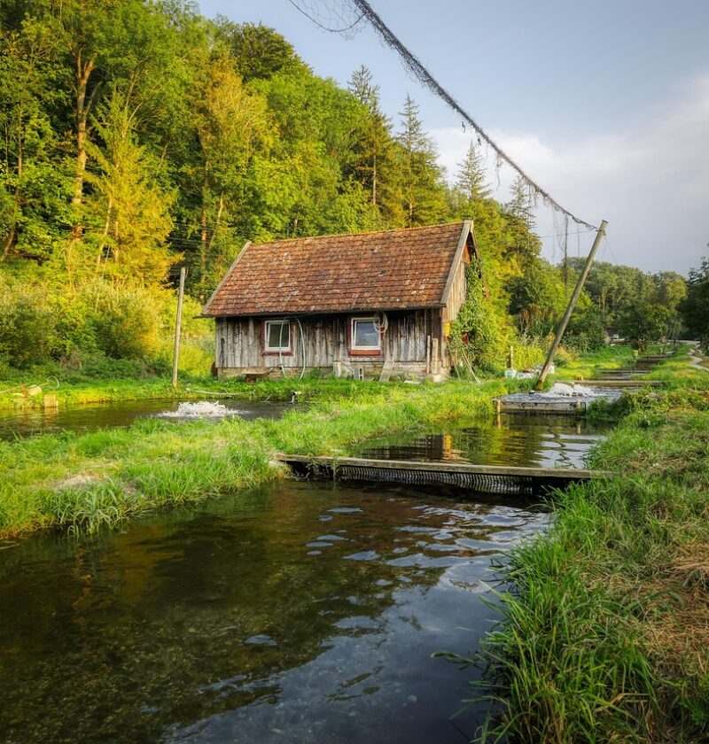 fish farming, bach, trout breeding, green, hut, landscape, fish farm, web, evening atmosphere, fish farming, fish farming, fish farming, fish farming, fish farming, fish farm, fish farm, fish farm, fish farm