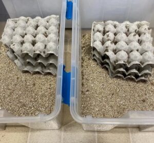 Immagine 2025 11 13 155937