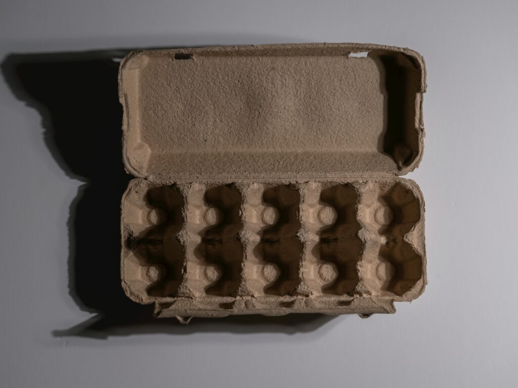 An open, empty egg carton photographed from above, perfect for packaging or recycling themes.